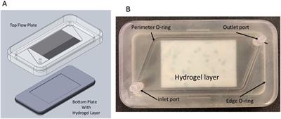 Time scale analysis of enzymatic reduction of uric acid in a microfluidic biomedical device